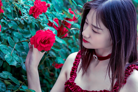 内蒙古首个数据中心源网荷储一体化项目投运